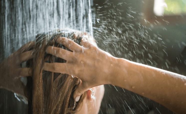 best detachable shower head reviews