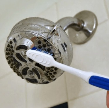 how to clean showerhead