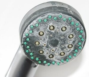 how to clean your showerhead